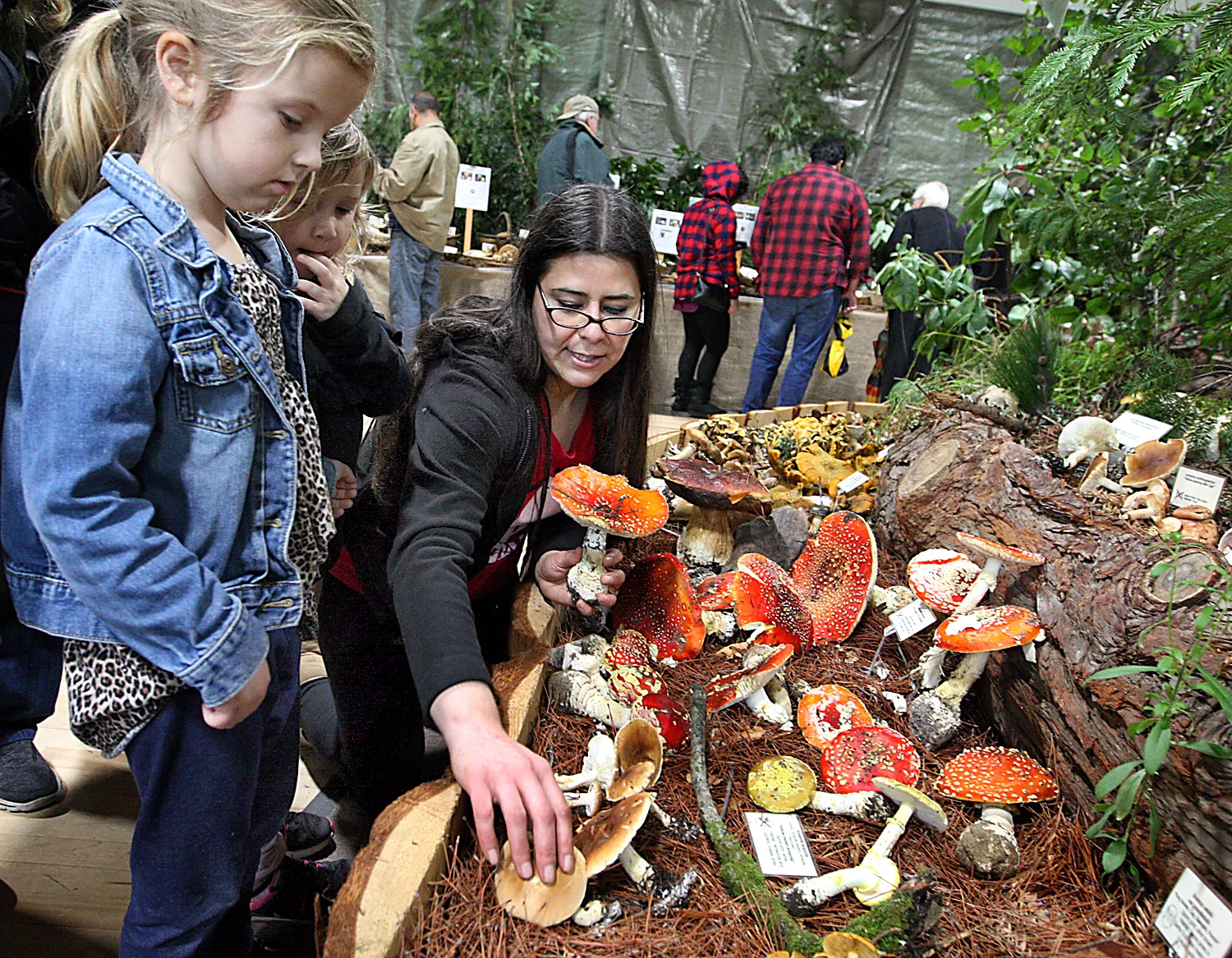 Santa Cruz Fungus Fair
