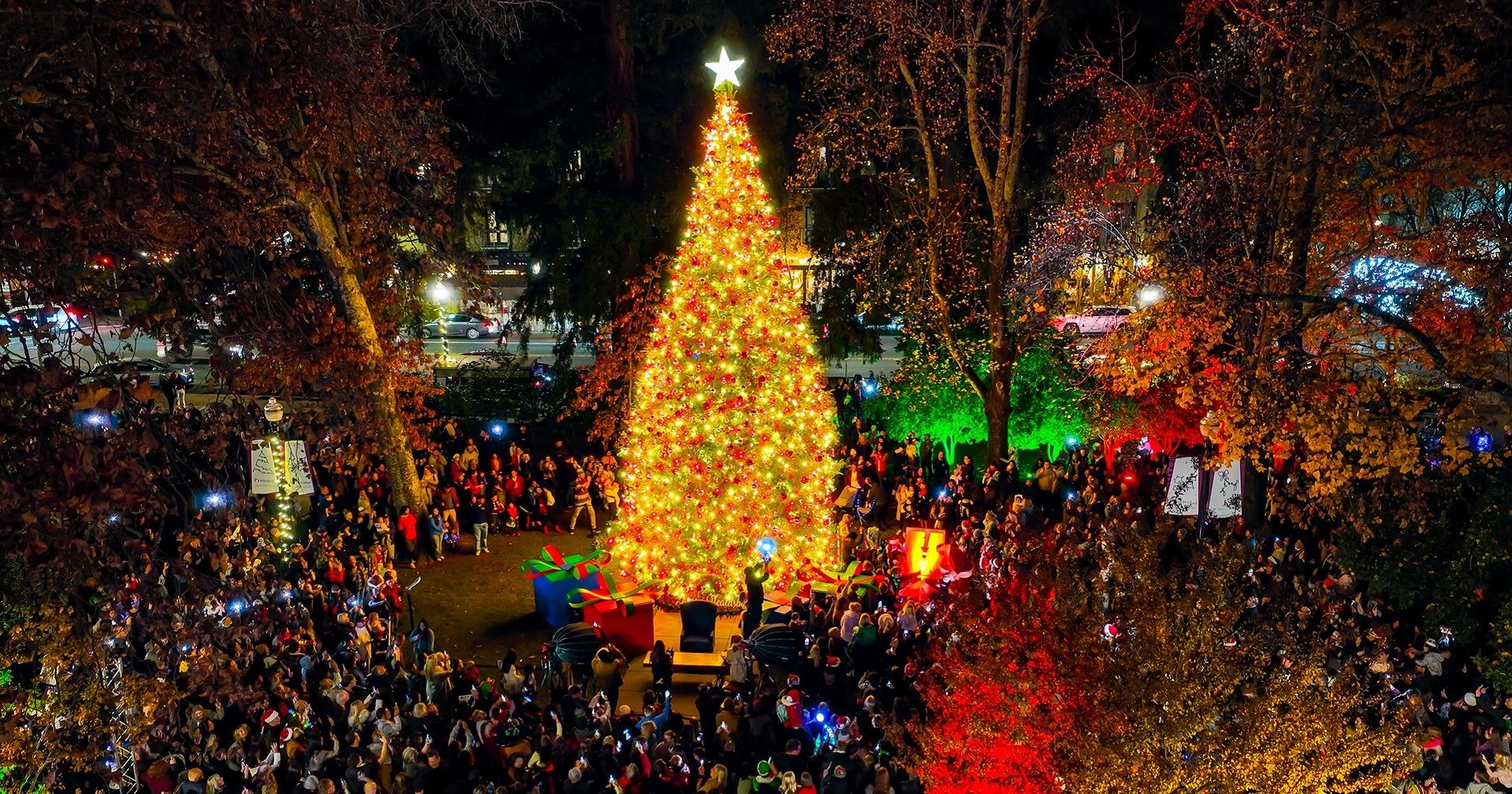 Merry Healdsburg Tree Lighting & Night Market