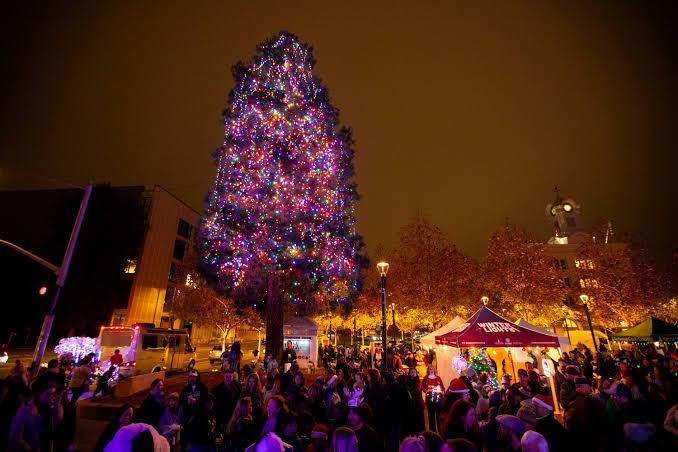 Winter Lights Tree Lighting Celebration