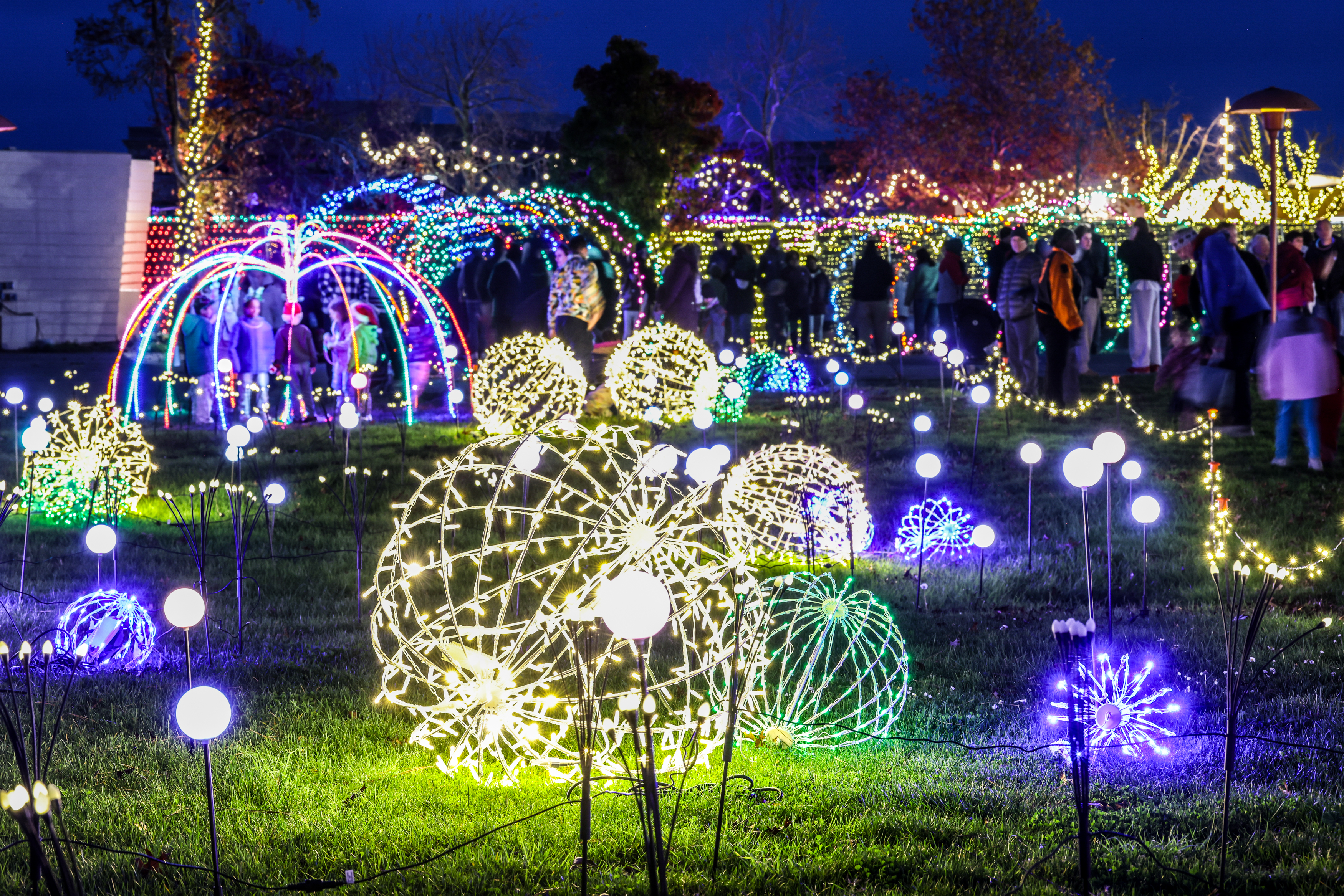 Marin Holiday Light Spectacular
